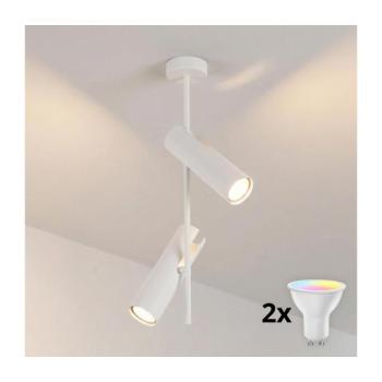 BRILAGI - LED RGBW dimmelhető rúdon függesztett csillár BRANCH 2xGU10/6,5W/230V fehér BG5257+2xAI0589 kép