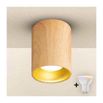 BRILAGI - LED RGBW dimmelhető spotlámpa TRINE 1xGU10/4,8W/230V tölgy dekor BG2125+AI2382 kép
