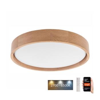 BRILAGI - MANAROLA SMART LED mennyezeti lámpa 24W/230V + Tuya DO kép