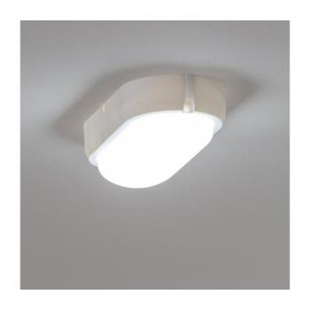 BRILAGI - Mennyezeti ipari LED lámpa SIMA LED/12W/230V IP65 fehér PD-S30124-10 kép