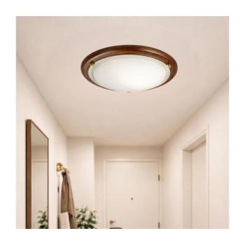 BRILAGI - Mennyezeti lámpa ORBIS 1xE27/60W/230V Ø 30 cm fenyő 63043 kép