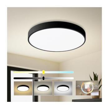 BRILAGI - POOL LED mennyezeti lámpa LED/60W/230V 3000/4000/6000K átmérő 60 cm fekete BRI348 kép