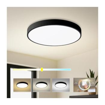 BRILAGI - POOL LED mennyezeti lámpatest 60W/230V, 3000/4000/6000K, 50 cm BRI014
