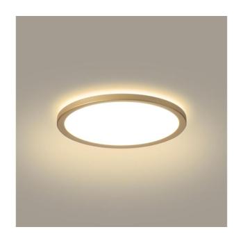 BRILAGI - ULTRA SLIM LED fürdőszobai lámpa, 12 W, 230 V, Ø 22,5 cm, arany, IP54 BRI580 kép