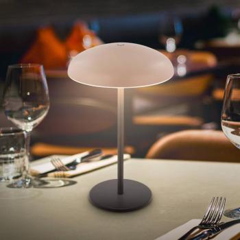 Brilo unplugged Caxa 30 LED tölthető asztali világítás, bézs/antracit kép