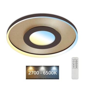 Briloner 3640017 - LED állítható mennyezeti lámpa LED/25W/230V 2700-6500K + DO 3640017