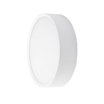 BRUMBERG EYE nyitott LED kültéri falilámpa, fehér, CCT, IP65 kép