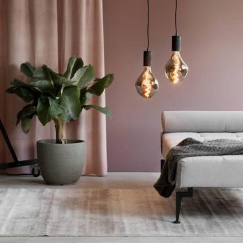 Calex Organic Evo LED lámpa E27 6W dim titánium kép