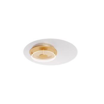 Copo LED általános mennyezeti lámpa kép