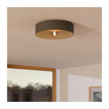 Eglo 901745 - Mennyezeti lámpa DUAIA 1xE27/40W/230V szürke 901745 kép