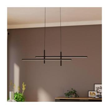 Eglo 901885 - TREPILIANO LED kábeles függeszték LED/20W/230V fekete 901885 kép