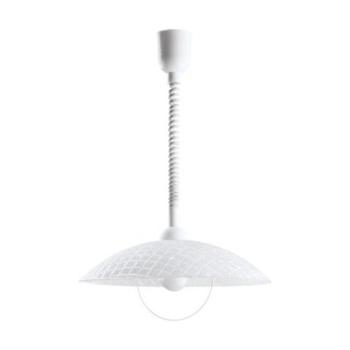 EGLO , 96474 , ALVEZ , függeszték , E27 , 1X60W , IP20 , fehér, átlátszó kép