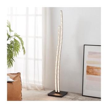 Eglo 99805 - LED Állólámpa LEJIAS LED/8W/230V 99805