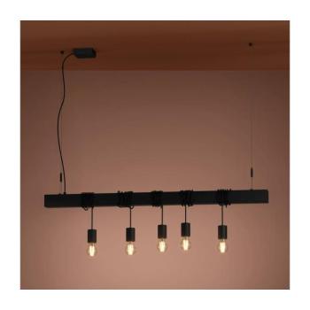EGLO , 39937 , TOWNSHEND-B , függeszték , E27 , 5X40W , IP20