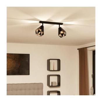 Eglo 43716 - Spotlámpa CARLTON 2xE27/40W/230V 43716 kép