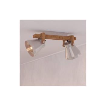 Eglo 43949 - Spotlámpa CAWTON 2xE27/40W/230V 43949 kép