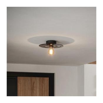 Eglo 44028 - Mennyezeti lámpa LINTMILL 1xE27/40W/230V szürke 44028