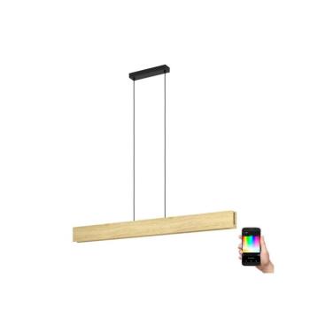 Eglo 900388 - LED RGBW Dimmelhető csillár zsinóron ANCHORENA-Z LED/35W/230V 900388