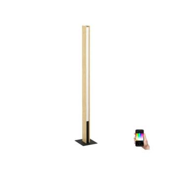 Eglo 900392 - LED RGBW Dimmelhető állólámpa ANCHORENA-Z LED/35W/230V 900392 kép