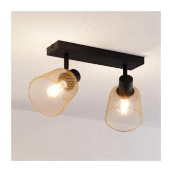 Eglo 900694 - Spotlámpa COSLADA 2xE27/40W/230V 900694 kép