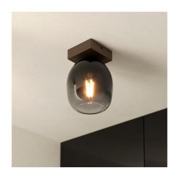 Eglo 900825 - Mennyezeti lámpa FILAGO 1xE27/40W/230V 900825 kép