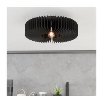 Eglo 900831 - Mennyezeti lámpa PALOMBAIA 1xE27/40W/230V fekete 900831 kép