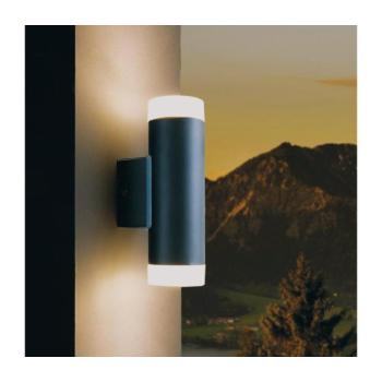 Eglo 96505 - LED Kültéri fali lámpa RIGA 2xGU10/5W 96505 kép