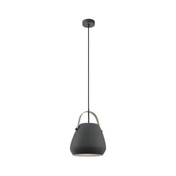Eglo 98349 - BEDNALL kábeles függőlámpa, 1xE27/60W/230V 98349 kép
