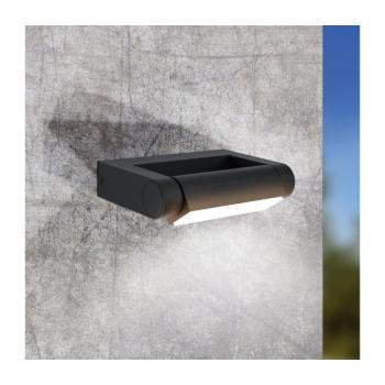 Brianza LED kültéri falilámpa, fekete, szélesség 20 cm, fém kép