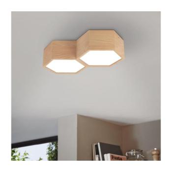 Eglo 98861 - Mennyezeti lámpa MIRLAS 2xE27/9W/230V 98861 kép