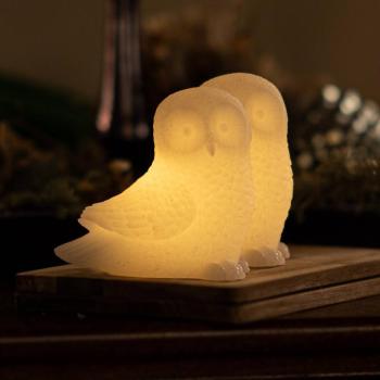 Ellen Owl LED dekoratív lámpa viaszból, 2 darabos készletben kép