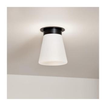 Elstead Kichler KL-ALBERS-F-T-BK-mennyezeti lámpa ALBERS 1xE27/40W/230V átmérő 21,6 cm fekete KL-ALBERS-F-T-BK kép