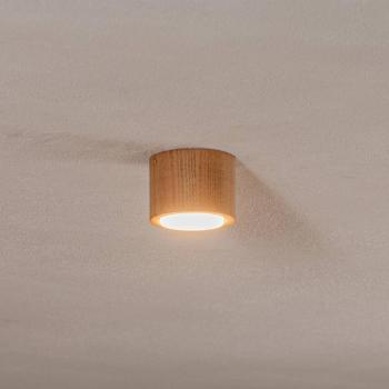 Ernest downlight, fa, 10 cm átmérőjű, kör alakú, GX53 kép