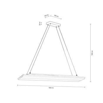 Tribe LED lógó világítás, olajozott tölgy, 100 cm kép