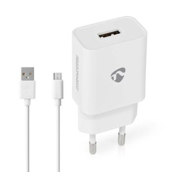 Fali Töltő | 12 W | Gyors töltés funkció | 2.4 A | Kimenő csatlakozók száma: 1 | USB-A | Micro USB (Lengő) Kábel | 1.00 m | Single Voltage Output kép