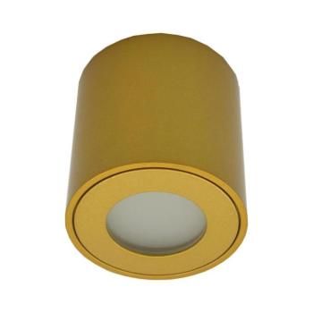 FARA kültéri spotlámpa 1xGU10/30W/230V IP54 aranyszínű SKU047066 kép