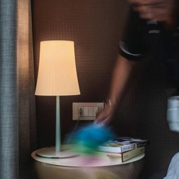 Foscarini Birdie Easy asztali világítás zsályazöld kép