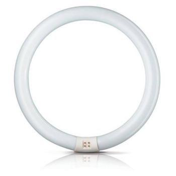 G10q 32W 840 fluoreszk. gyűrű Master Circular TL-E kép