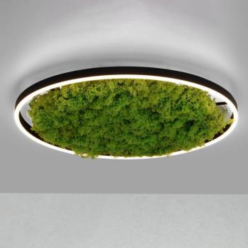 Gerda Ritus LED mennyezeti lámpa, Moos, dimmelhető, Ø58,5 cm