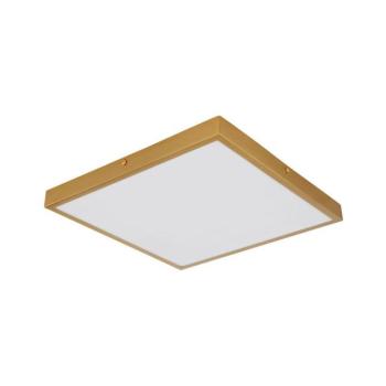 Mennyezeti lámpa Tibey 12382-22 LED PL1