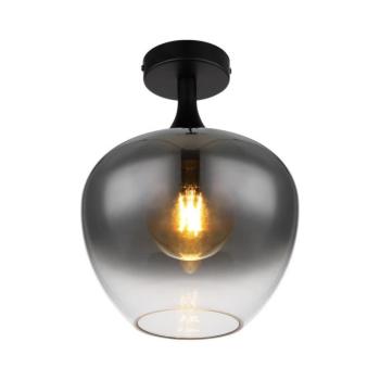Globo 15548D - Mennyezeti lámpa MAXY 1xE27/40W/230V füstszínű 15548D kép