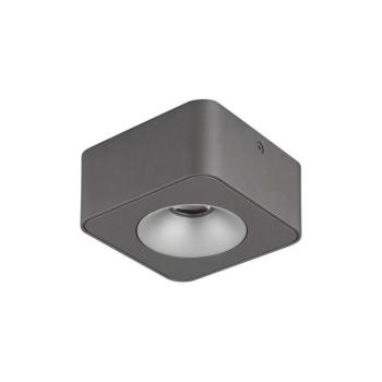 Globo 43100-1 - LED Mennyezeti lámpa HANGARAU LED/6,5W/230V 11,7x11,7 cm 43100-1 kép