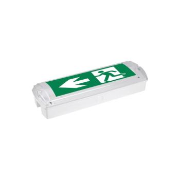 Hamm LED menekülési útvonal lámpa, süllyesztett, IP65 6500K kép