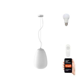 Immax NEO 07066L - LED RGBW dimmelhető COCONO csillár 1xE27/8,5W/24 cm 07066L kép