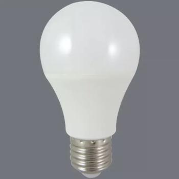 Izzó LED EM 18W A65 E27 6500K