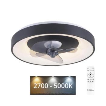 Venika LED mennyezeti ventilátor, fekete CCT, távirányítóval, átmérő 48,6 cm kép