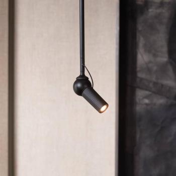 kdln LED mennyezeti világítás Bird, fekete, Ø 11 cm, fém kép