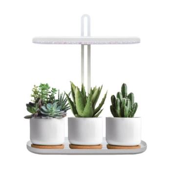 Kobi Design LED növénynevelő lámpa LED BLOOM 12W 4500K, természetes fehér, ≥95, szabályozható, KOBI-004319 kép
