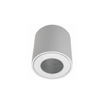 Kültéri mennyezeti lámpa FARA 1xGU10/50W/230V IP54 fehér SKU013039 kép