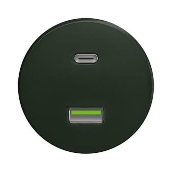 lap - Retro USB aljzat A+C keret nélkül, zöld Z/USB kép